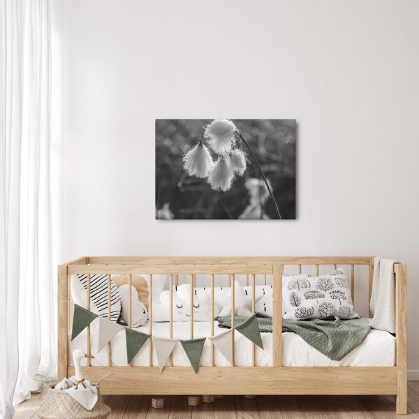 Slika - Cottongrass (70x50 cm)