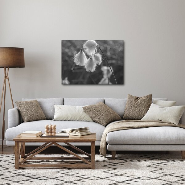 Slika - Cottongrass (70x50 cm)