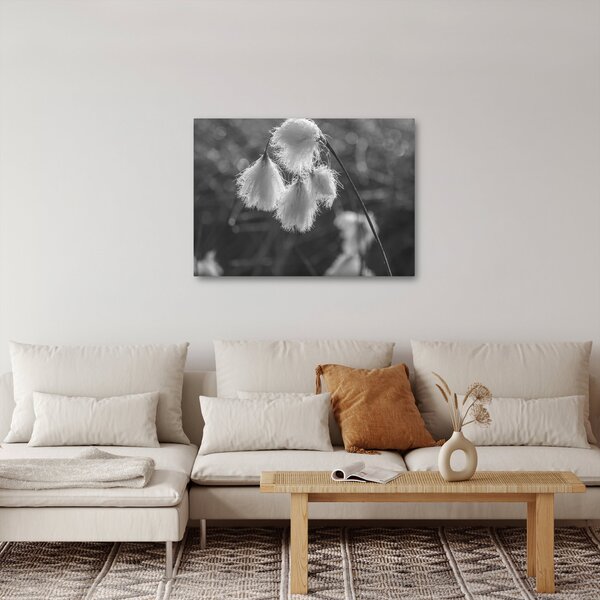 Slika - Cottongrass (70x50 cm)