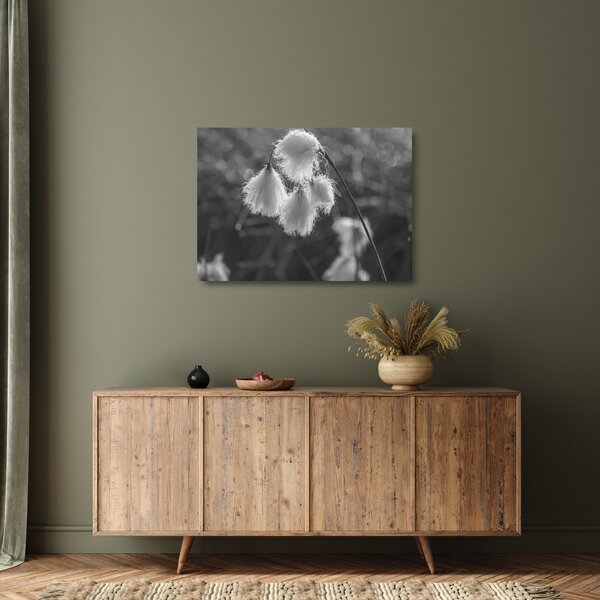 Staklena slika - Cottongrass (70x50 cm)