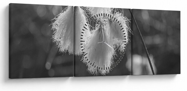 Slika - Cottongrass (sa satom) (90x30 cm)