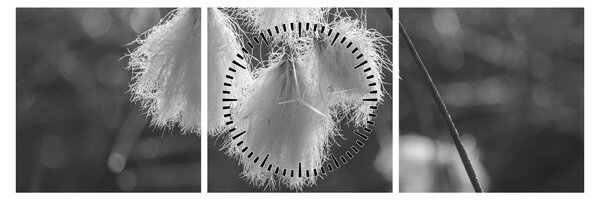 Slika - Cottongrass (sa satom) (90x30 cm)