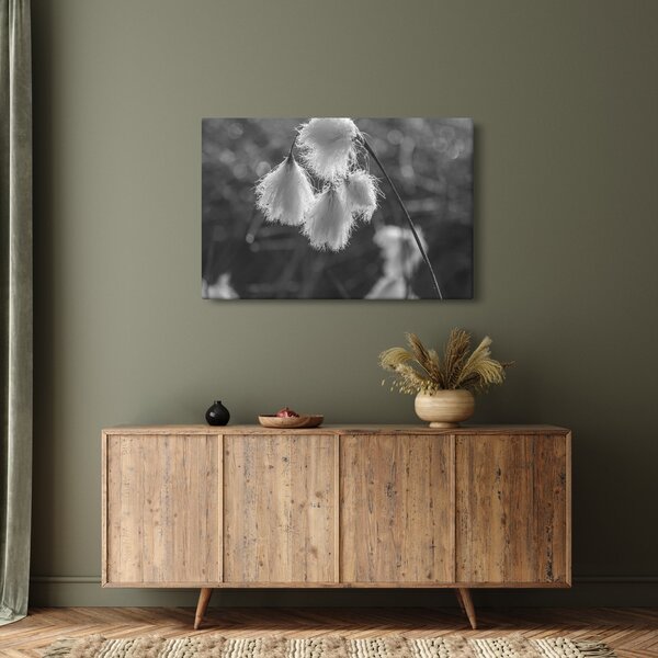 Slika - Cottongrass (90x60 cm)