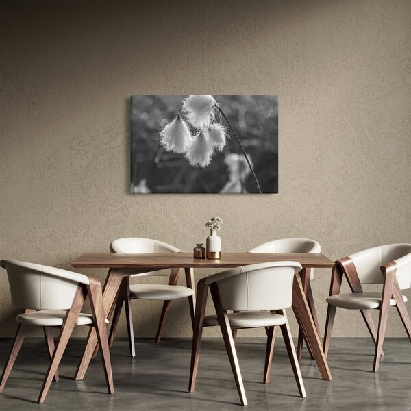 Slika - Cottongrass (90x60 cm)