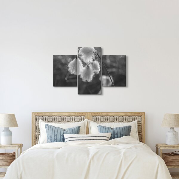Slika - Cottongrass (90x60 cm)