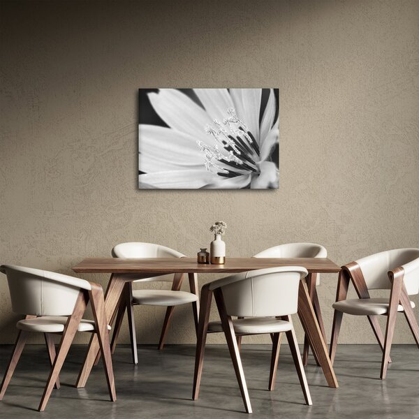 Slika - Crno-bijeli cvijet (70x50 cm)