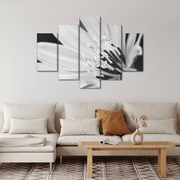 Slika - Crno-bijeli cvijet (150x105 cm)