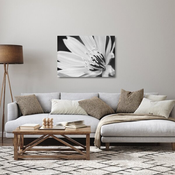 Staklena slika - Crno-bijeli cvijet (70x50 cm)