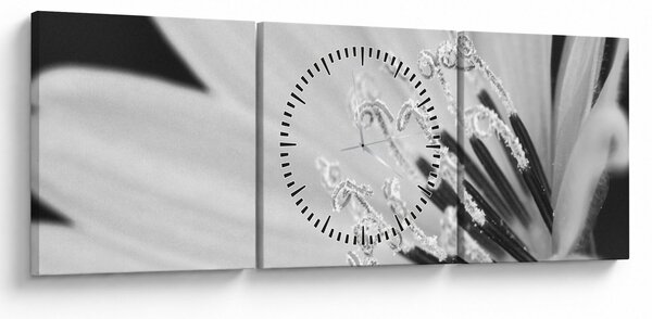 Slika - Crno-bijeli cvijet (sa satom) (90x30 cm)