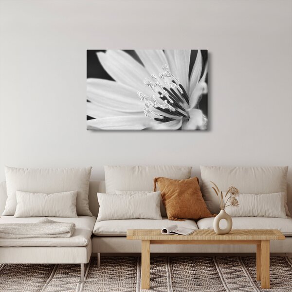 Slika - Crno-bijeli cvijet (90x60 cm)