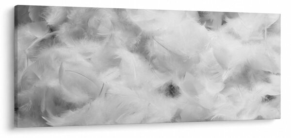 Slika - Oblaci od perja (120x50 cm)