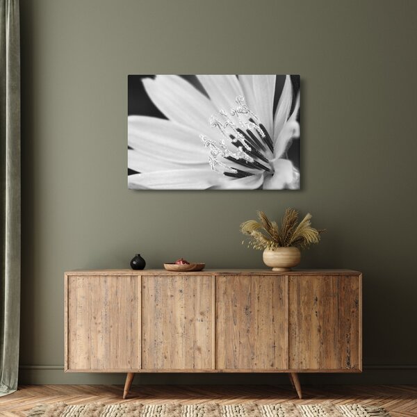 Slika - Crno-bijeli cvijet (90x60 cm)
