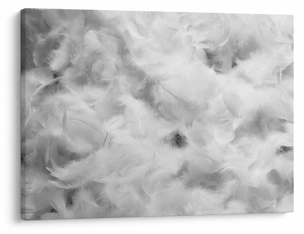 Slika - Oblaci od perja (70x50 cm)