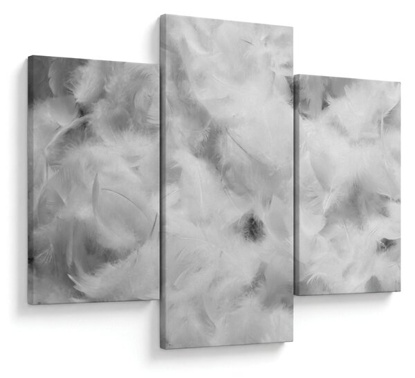 Slika - Oblaci od perja (90x60 cm)