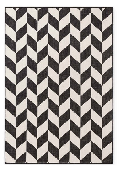 Crni/krem unutarnji i vanjski tepih 120x170 cm Haringey Terrick – Ted Baker