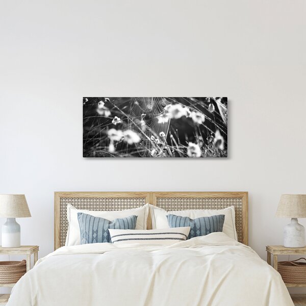 Slika - Paukova mreža na livadi (120x50 cm)