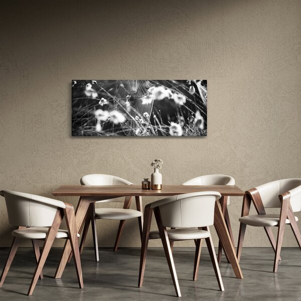 Slika - Paukova mreža na livadi (120x50 cm)