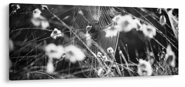 Slika - Paukova mreža na livadi (120x50 cm)
