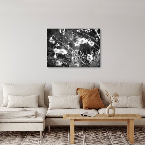 Slika - Paukova mreža na livadi (70x50 cm)
