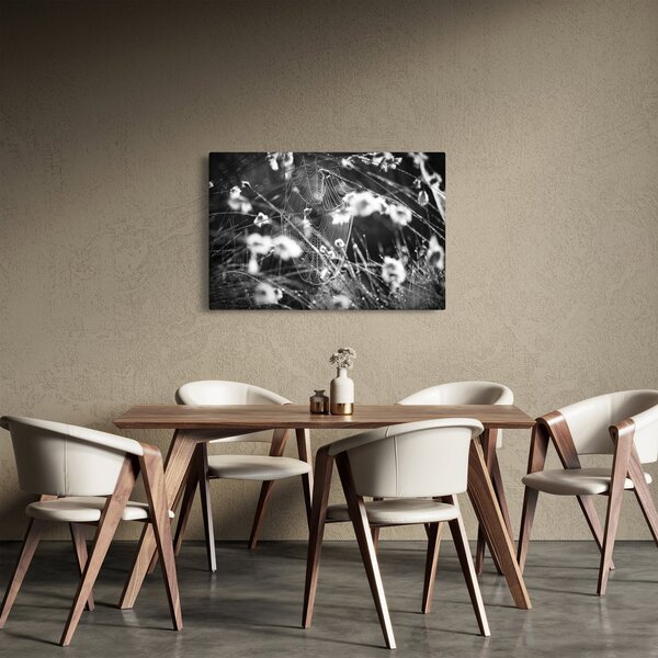 Slika - Paukova mreža na livadi (90x60 cm)