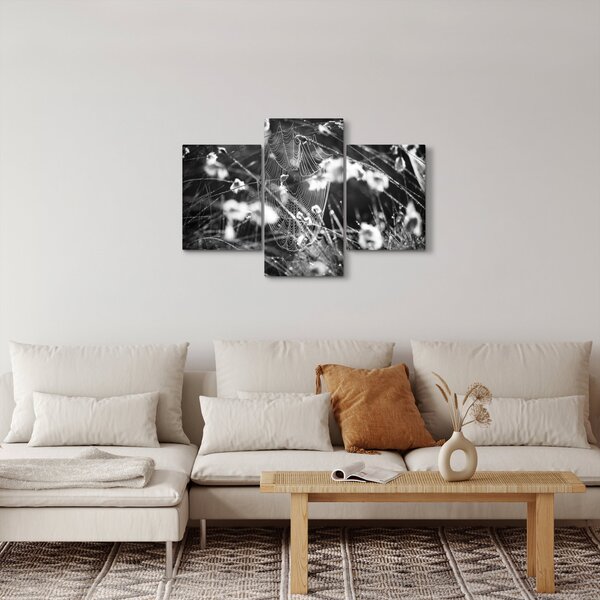 Slika - Paukova mreža na livadi (90x60 cm)