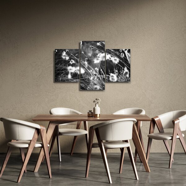 Slika - Paukova mreža na livadi (90x60 cm)