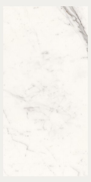 Pločica Idealker S Cezar White Levigato 60×120 cm