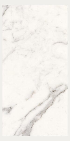 Pločica Idealker S Cezar White Levigato 60×120 cm