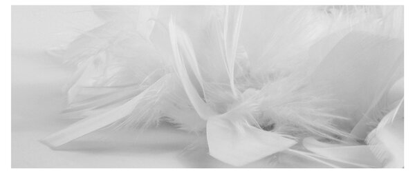 Slika - Perje (120x50 cm)