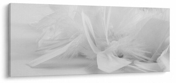 Slika - Perje (120x50 cm)