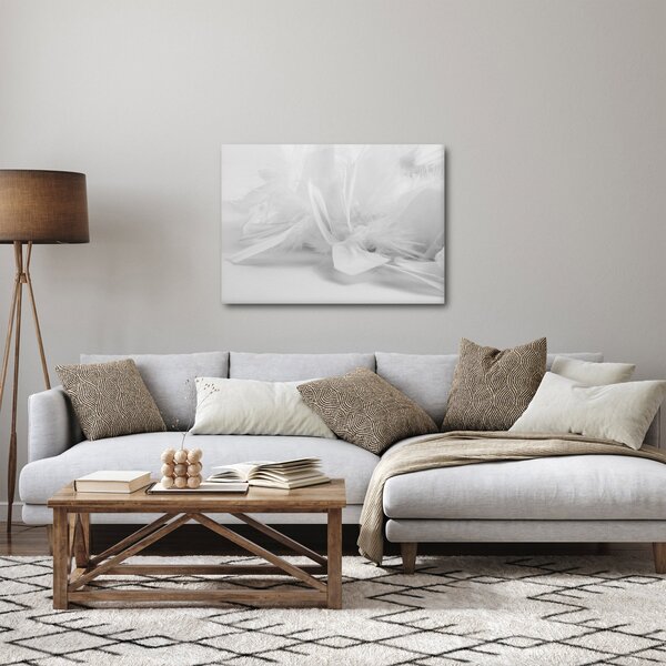 Slika - Perje (70x50 cm)