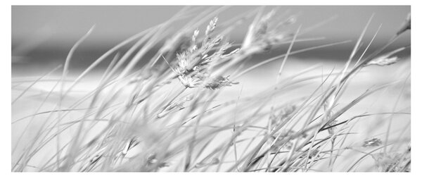 Slika - Trava za plažu (120x50 cm)