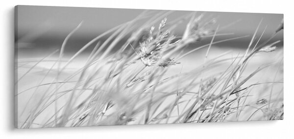 Slika - Trava za plažu (120x50 cm)