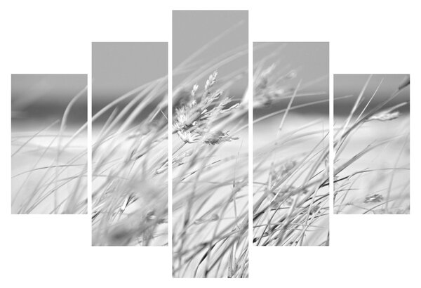 Slika - Trava za plažu (150x105 cm)