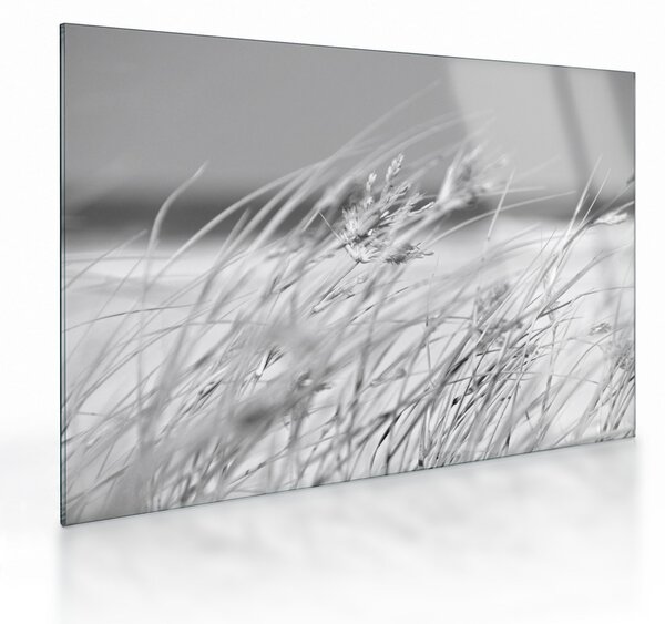 Staklena slika - Trava za plažu (70x50 cm)