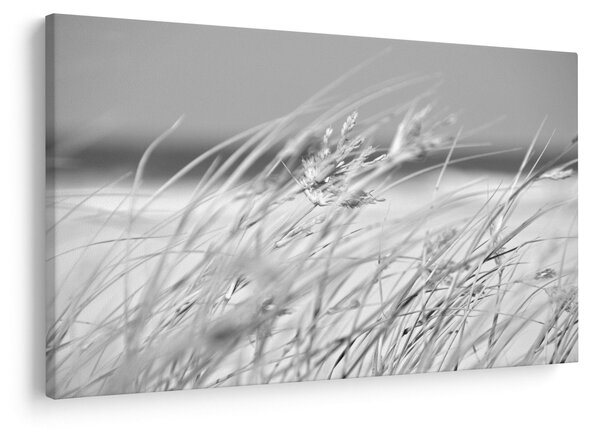Slika - Trava za plažu (90x60 cm)
