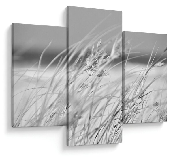 Slika - Trava za plažu (90x60 cm)
