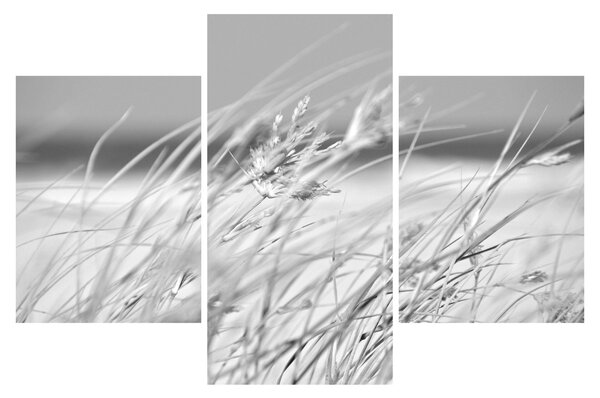 Slika - Trava za plažu (90x60 cm)