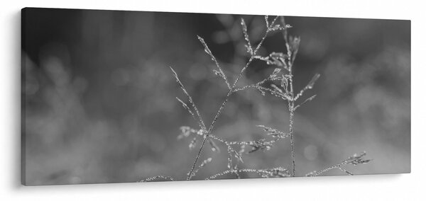 Slika - Seoska livada (120x50 cm)