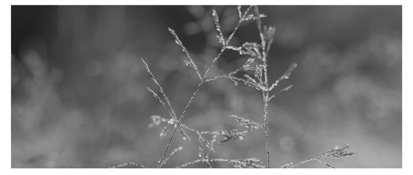 Slika - Seoska livada (120x50 cm)
