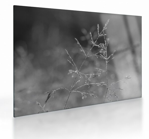 Staklena slika - Seoska livada (70x50 cm)