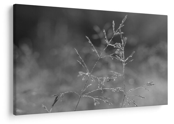 Slika - Seoska livada (90x60 cm)