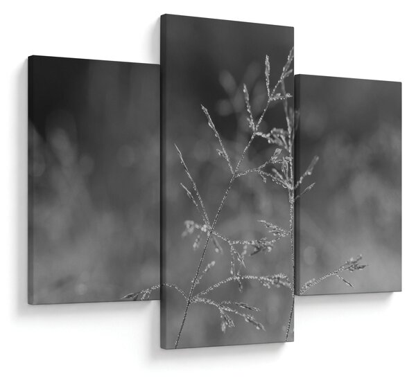 Slika - Seoska livada (90x60 cm)