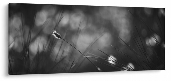 Slika - Livadarka (120x50 cm)