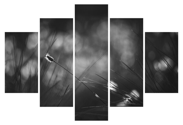 Slika - Livadarka (150x105 cm)