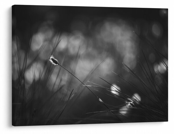 Slika - Livadarka (70x50 cm)