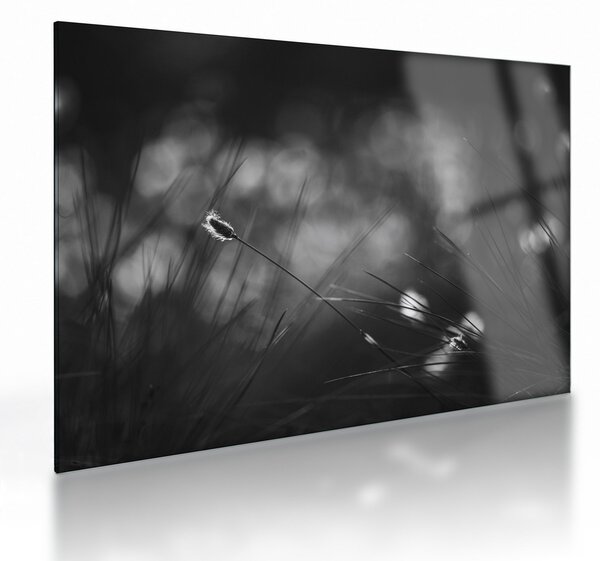 Staklena slika - Livadarka (70x50 cm)