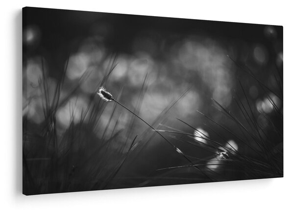 Slika - Livadarka (90x60 cm)