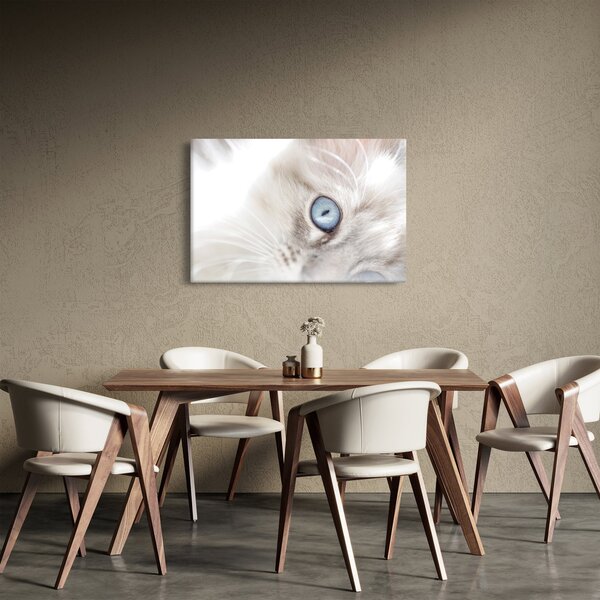 Slika - Mačka s plavim očima (90x60 cm)