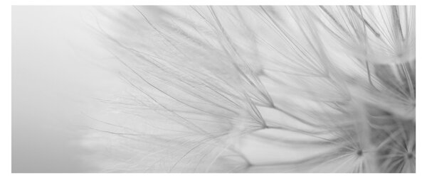 Slika - Maslačak (120x50 cm)